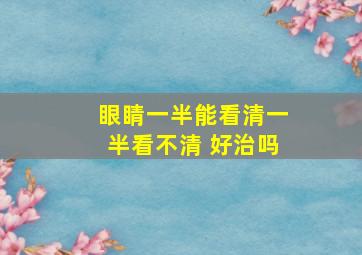 眼睛一半能看清一半看不清 好治吗